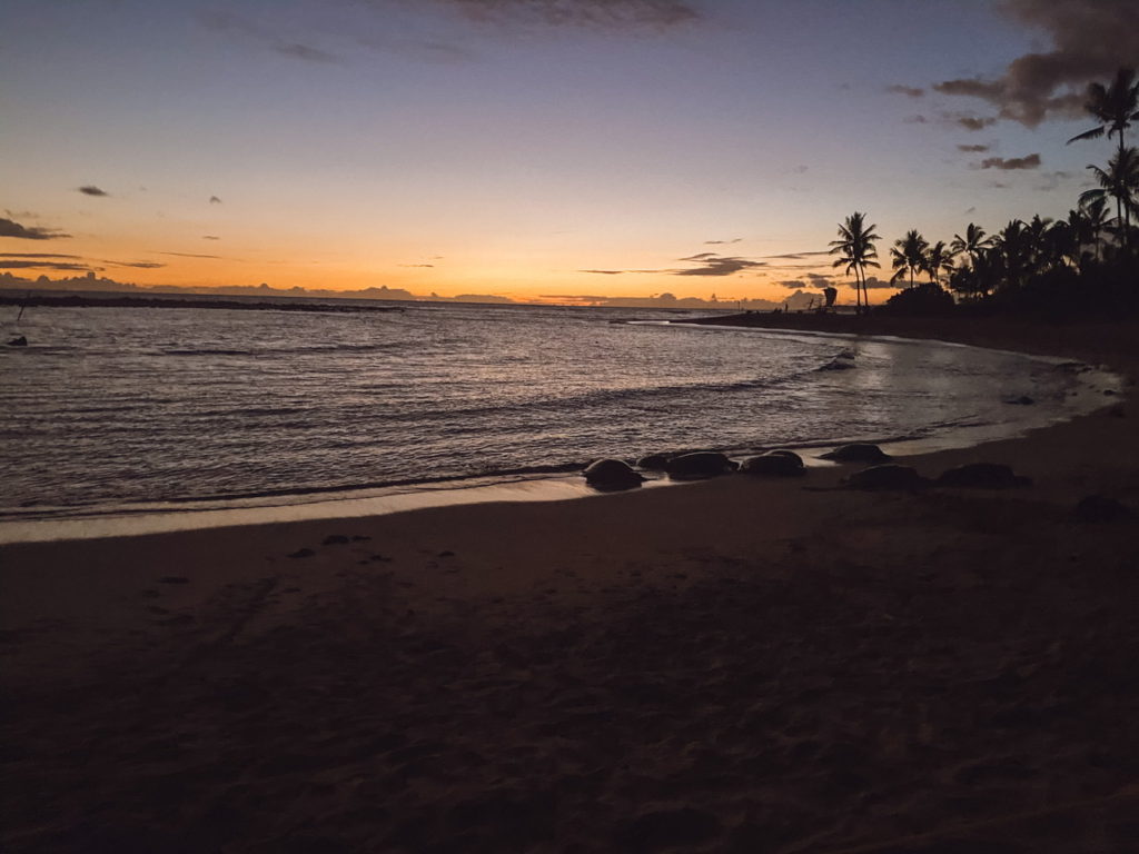 kauai turtles at sunset 